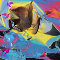 Profile Picture of Steven Tovar (@steven-tovar-7) on Quora