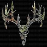 Profile Picture of Connor Kern (@hunting_is_life10) on Instagram
