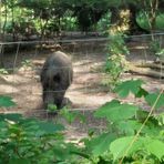 Profile Picture of Alexandra Zielinski (@Alexandra-Zielinski) on Facebook