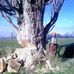 Profile Picture of Jason Hansen (@jason.hansen.90038) on Facebook