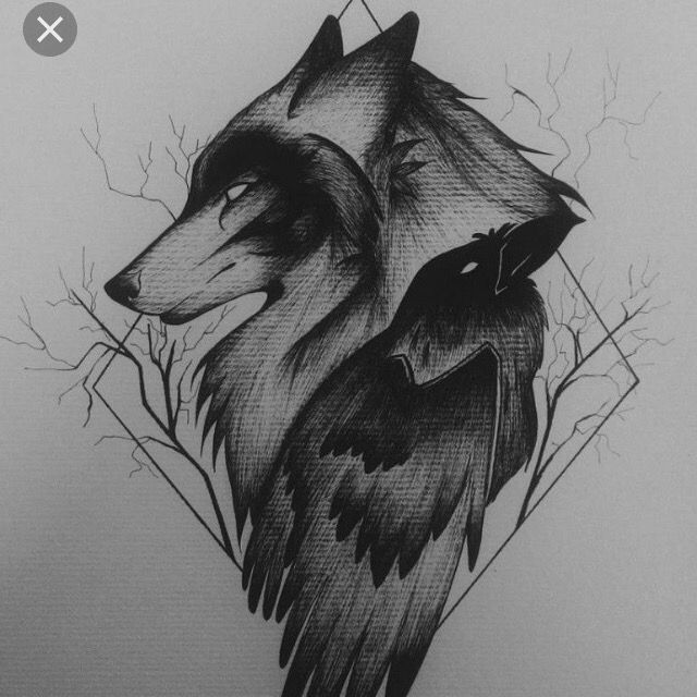 Seth - Tiktok Profile Picture of Seth (@sethcaslin) on Tiktok