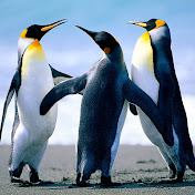 Profile Picture of Joel Joaquin (@joeljoaquin7850) on Youtube