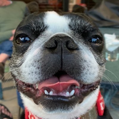 Andy Taylor - Twitter Profile Picture of Andy Taylor (@MayberryOK) on Twitter