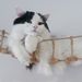 Profile Picture of hiroko (@locco0413) on Pinterest
