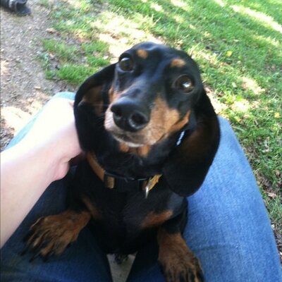 Profile Picture of Jerry Naylor (@NaylorJerry) on Twitter