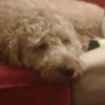 Profile Picture of Peter Herrick (@peter_herrick_20) on Instagram