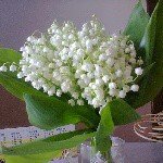 Profile Picture of Nathaniel Thornton (@nathans4thornro) on Instagram