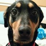 Profile Picture of Patty J Kernstock (@pattyjkernstock) on Instagram