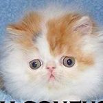 Profile Picture of Logan Joseph (@loganjencinas) on Instagram