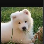 Profile Picture of Carlos  Miguel Finke (@finkecarlos) on Instagram