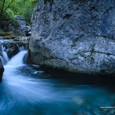 Profile Picture of Tracey Perrin (@ThedozyD) on Twitter