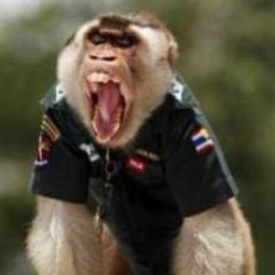 Profile Picture of Steven Loggins (@turdcop) on Twitter