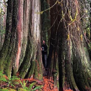 Profile Picture of Luke Winslow (@luke.winslow.940) on Facebook