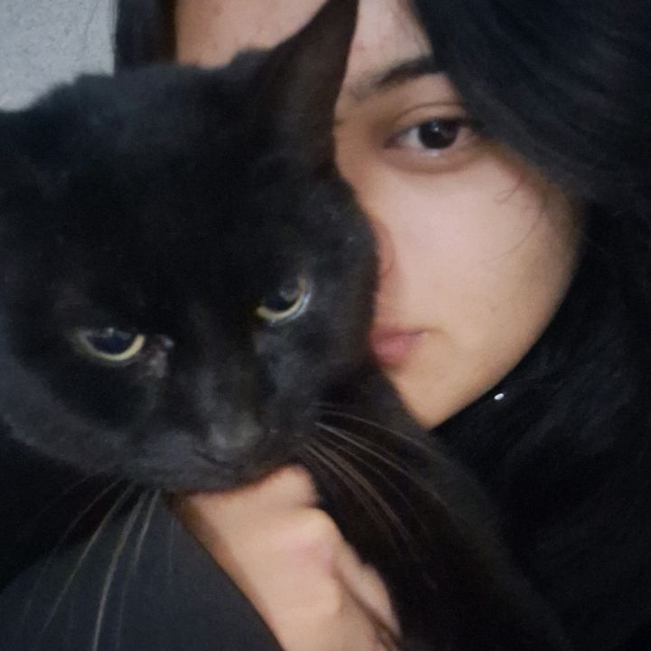 Profile Picture of Jacqueline Moreno (@jaccquee_) on Tiktok