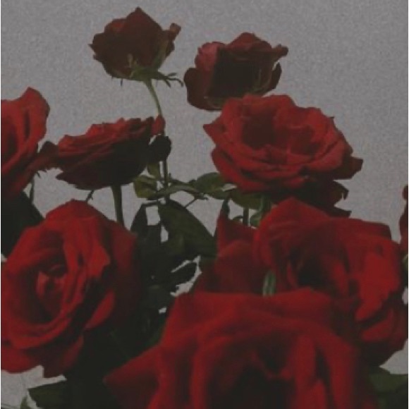 Profile Picture of Skyler Herrity (@skylerherrity) on Poshmark