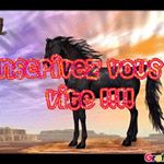 Profile Picture of Mestre-Dubroca Pauline-pia (@pauline_pia) on Instagram