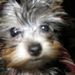 Profile Picture of Joyce Weigel (@jovieprincess) on Pinterest