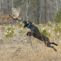 Profile Picture of Bo Tate (@bo-tate-2) on Quora