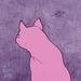 Profile Picture of Sage Snyder (@insayne06) on Pinterest