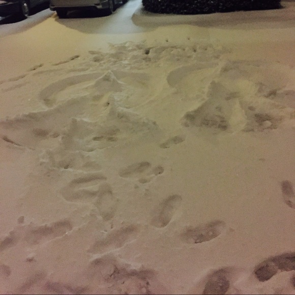 Profile Picture of Seanda Westbrook (@seandarw) on Poshmark