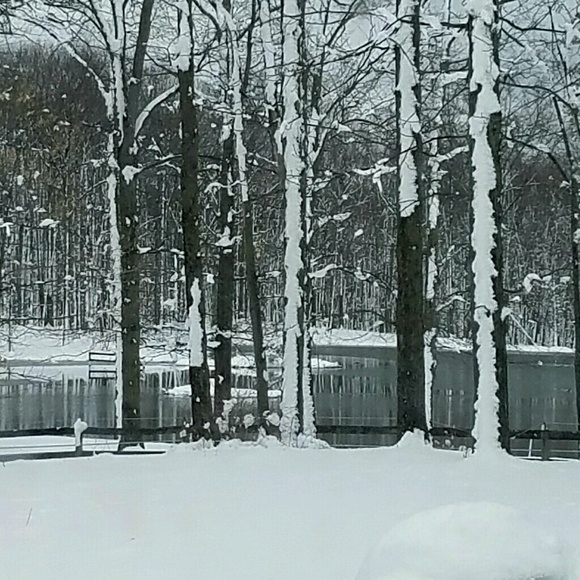 Profile Picture of Mulcahy Tammy (@tlmulcahy) on Poshmark