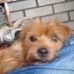 Profile Picture of Michael Ivers (@michael.ivers.395) on Facebook