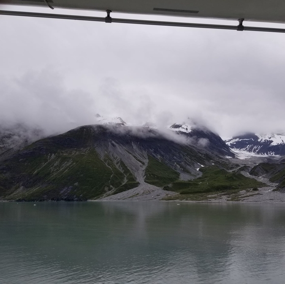 Profile Picture of Sallie Brundidge (@salliemae1958) on Poshmark