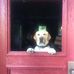 Profile Picture of Richard Gowen (@richard.gowen.56) on Facebook