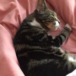 Profile Picture of Susan Sapwell (@susan.sapwell) on Instagram