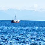 Profile Picture of Shawn Lund (@shawn.lund.794) on Instagram