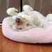 Profile Picture of Lillian Fischer (@20fischer) on Pinterest