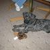 Profile Picture of Dixie Lou Howell (@dixie.l.howell.7) on Facebook