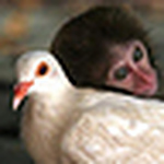 Profile Picture of Javier Roman Perez (@roman2016) on Flickr