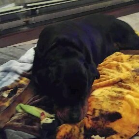 Profile Picture of Chris Veach (@chrisveach7) on Twitter