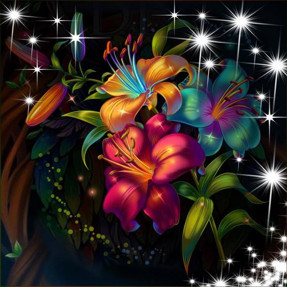 Profile Picture of Paula Prater (@dawgmama57) on Poshmark