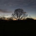 Profile Picture of Sarah Karim (@sarah.karim.14811) on Instagram