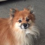 Profile Picture of Mikeytucker (@michealalexzanderwayne) on Instagram