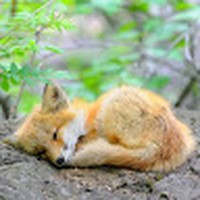 Peyton Bennett - Quora Profile Picture of Peyton Bennett (@peyton-bennett-17) on Quora