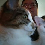 Profile Picture of John Mcleod (@mcleod9847) on Instagram