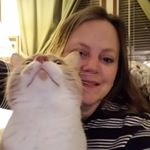 Profile Picture of Amy Toney Padgett (@mama.bird.and.toku.kitty) on Instagram