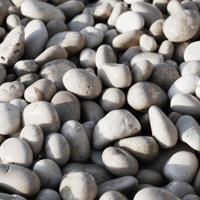 Profile Picture of Алиса Бондаренко (@alice_blond) on Twitter