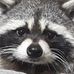Profile Picture of Kim Sills (@kim.sills.940) on Facebook