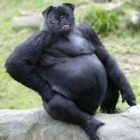 Profile Picture of Brandon Maceri (@bmaceri) on Pinterest