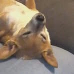 Profile Picture of James Ditzler (@James-Ditzler) on Facebook