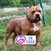 Profile Picture of Enrique Ojeda (@enrique.ojeda.752) on Facebook