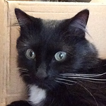 Profile Picture of Mia Scott (@miascott) on Flickr