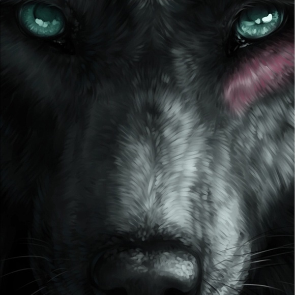 Profile Picture of Luis Mayen (@lui187x) on Poshmark