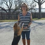 Profile Picture of Lisa Bauer Swank (@bauerswank) on Instagram