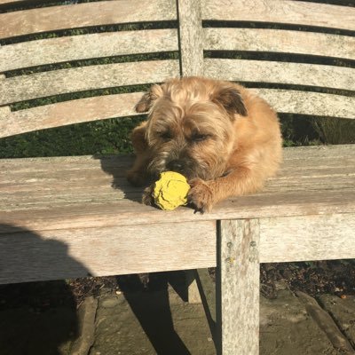 Profile Picture of Simon Dunn (@SimonDu79855464) on Twitter