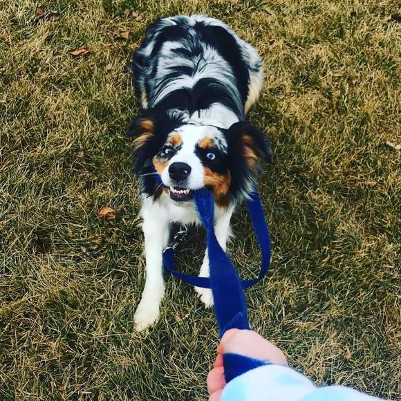 Profile Picture of Miranda Miller burr (@mirburr) on Poshmark